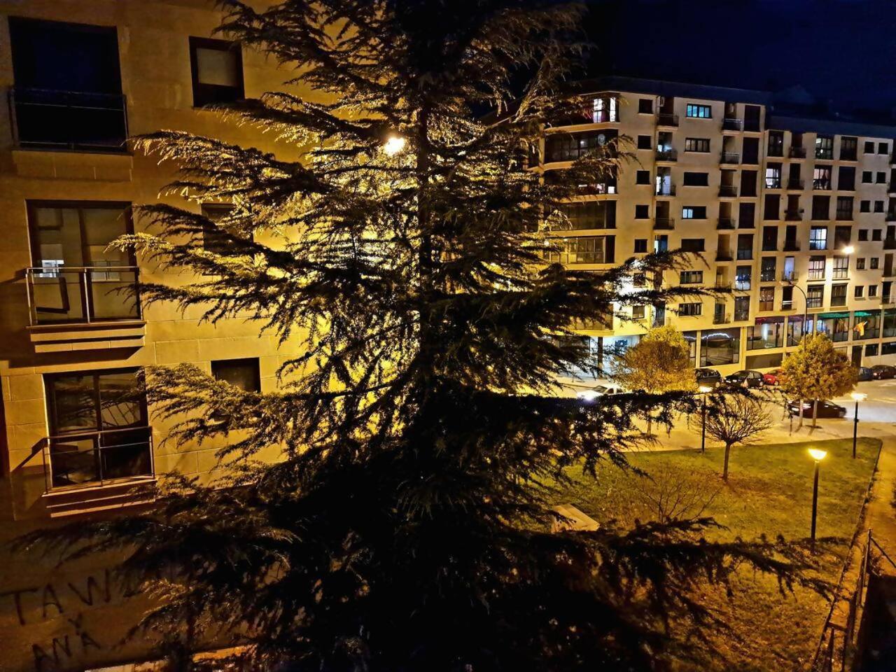Apartamento Puente Romano Оренсе Экстерьер фото